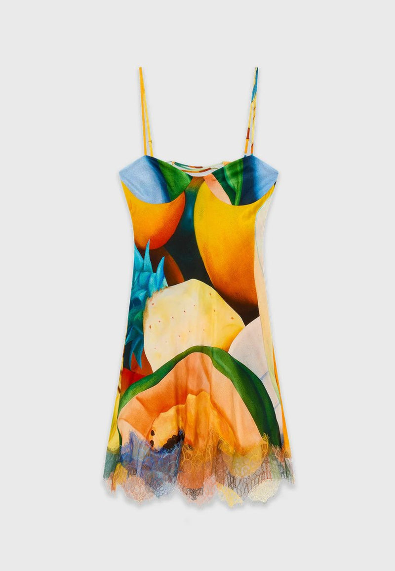 Salpicon Silk Dress