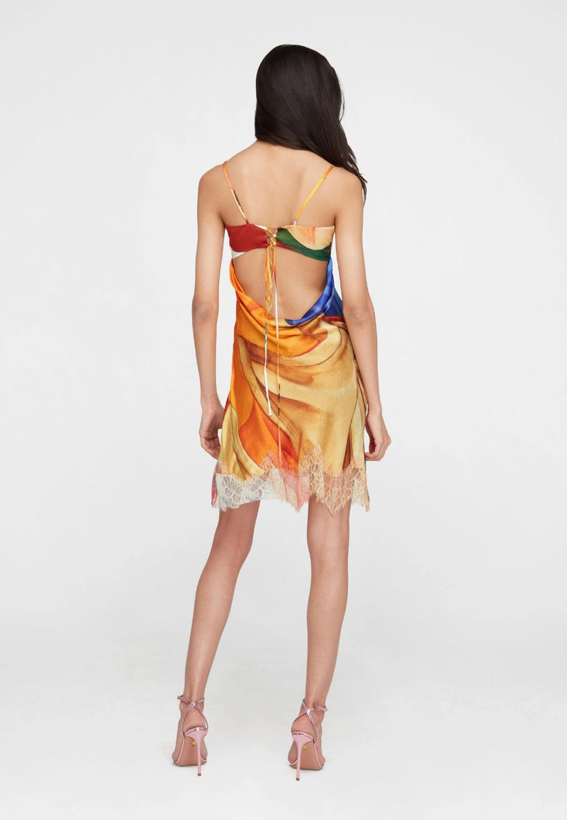 Salpicon Silk Dress