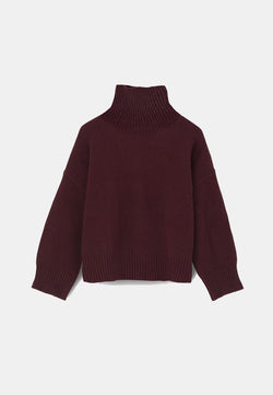 Silene turtleneck sweater