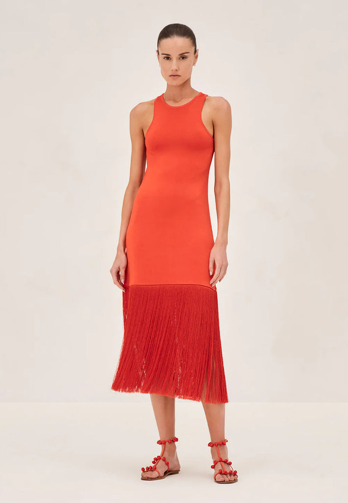 Alexis fringe dress clearance