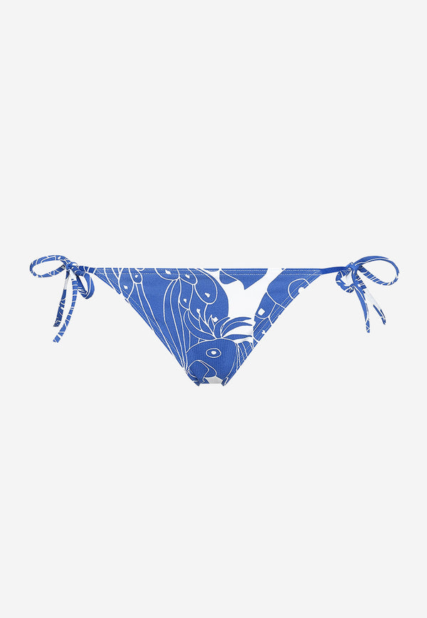 Gerardo thin bikini briefs