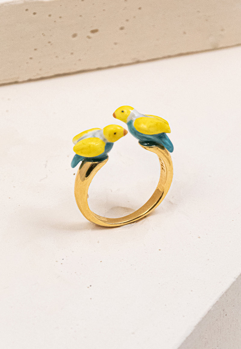 Blue budgerigar bird face to face ring