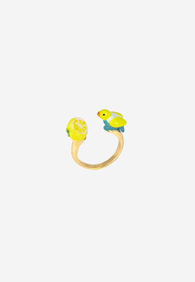 Blue budgerigar bird & lemon face to face ring