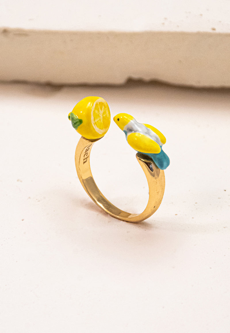 Blue budgerigar bird & lemon face to face ring