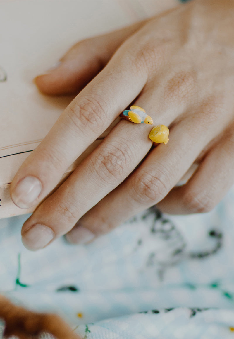 Blue budgerigar bird & lemon face to face ring