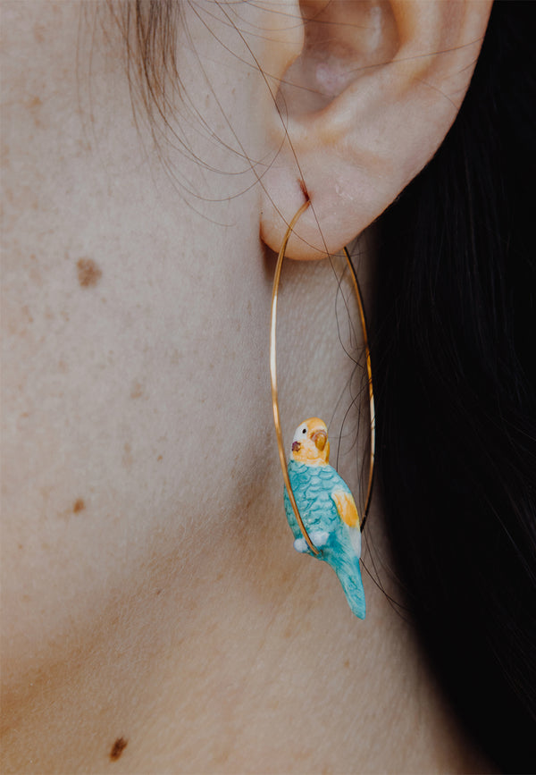 Blue budgerigar bird hoop earrings