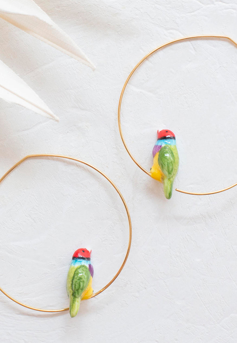Gouldian finch bird hoop earrings