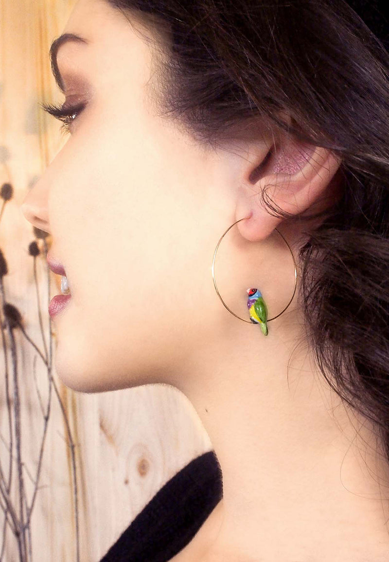 Gouldian finch bird hoop earrings
